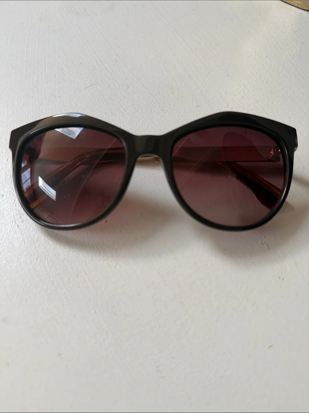 Brown Frame Sunglasses with Brown-Tinted Lenses